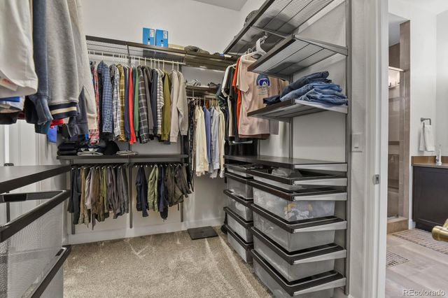 11157 Sweet Cicely Drive, Parker, CO 80134