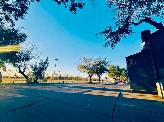 9696 Walnut Street 1305, Dallas, TX 75243