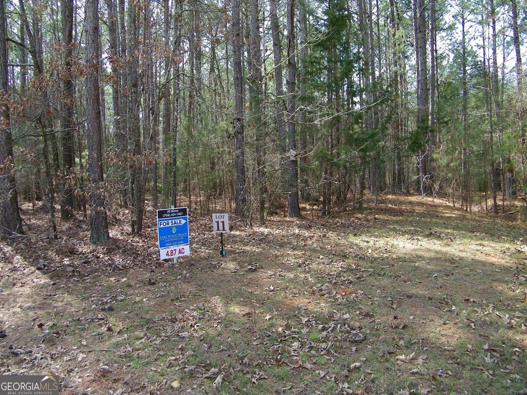 LOT 11 Blackberry Bend, Elberton, GA 30635 — photo 2