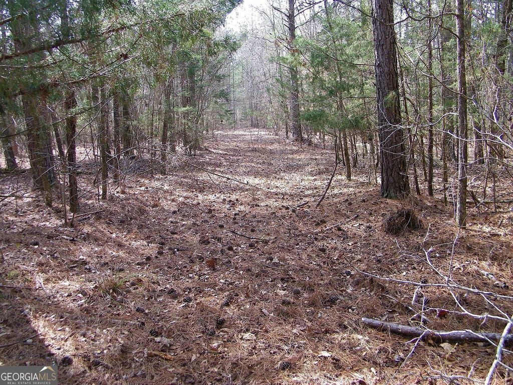 LOT 11 Blackberry Bend, Elberton, GA 30635 — photo 3
