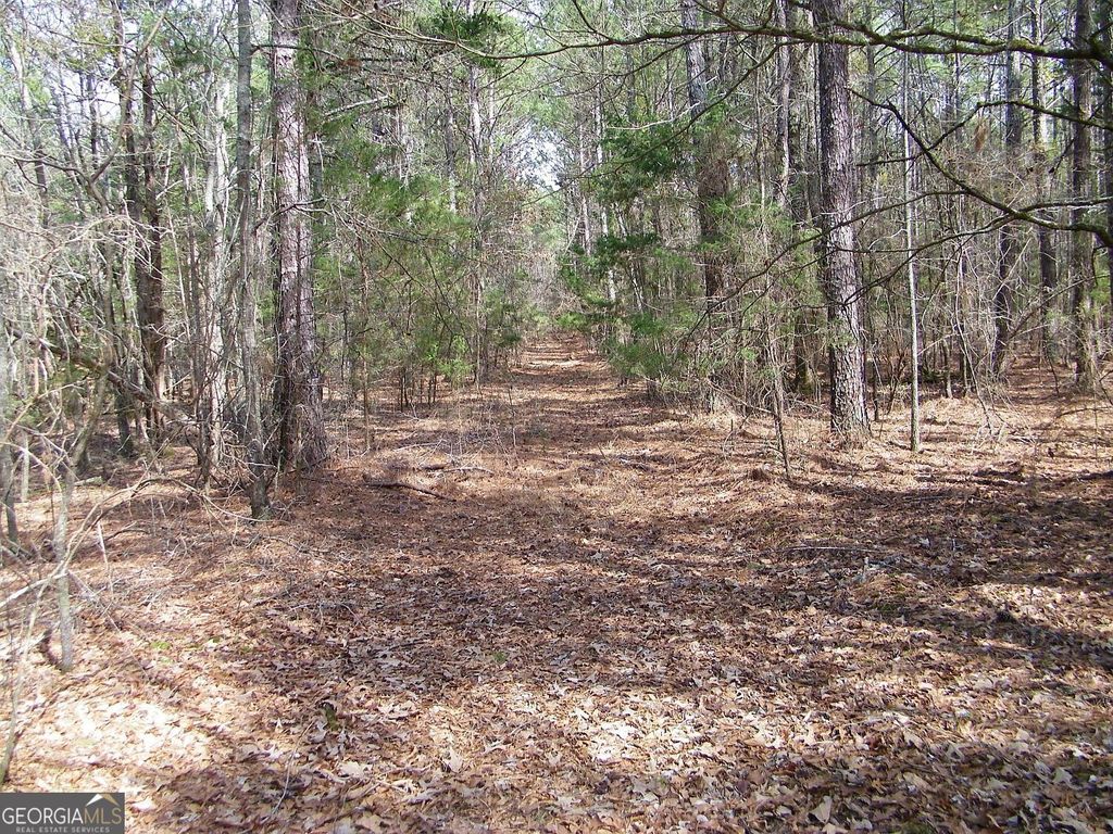 LOT 11 Blackberry Bend, Elberton, GA 30635 — photo 4
