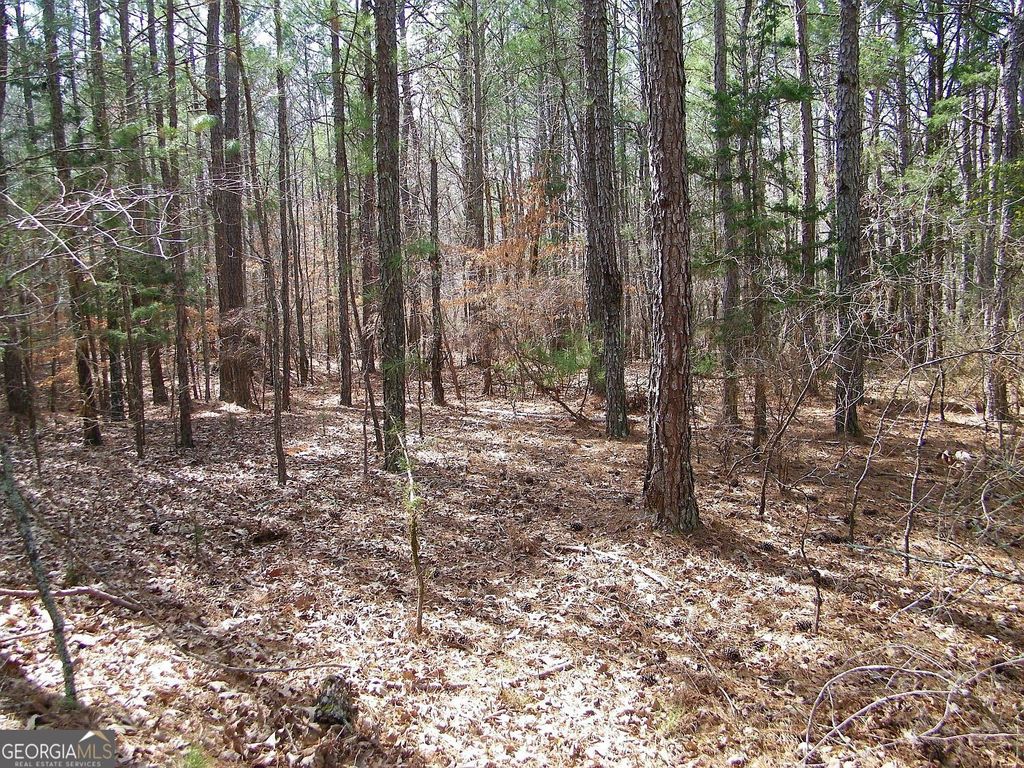 LOT 11 Blackberry Bend, Elberton, GA 30635 — photo 5
