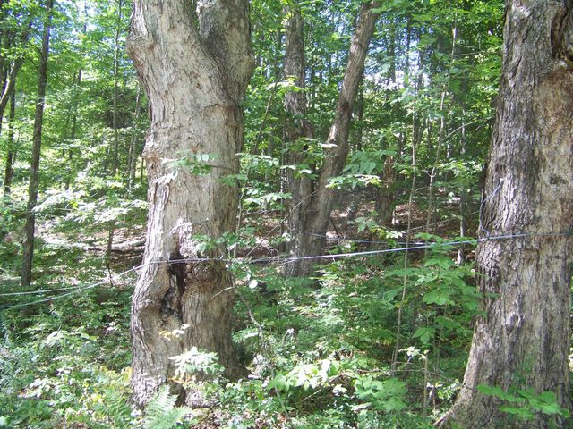 436 Mountain View Loop, Rochester, VT 05767