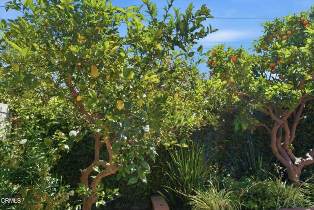 1220 Johnson Drive 89, Ventura, CA 93003