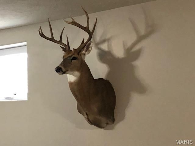 2091 Frene Creek Road, Hermann, MO 65041