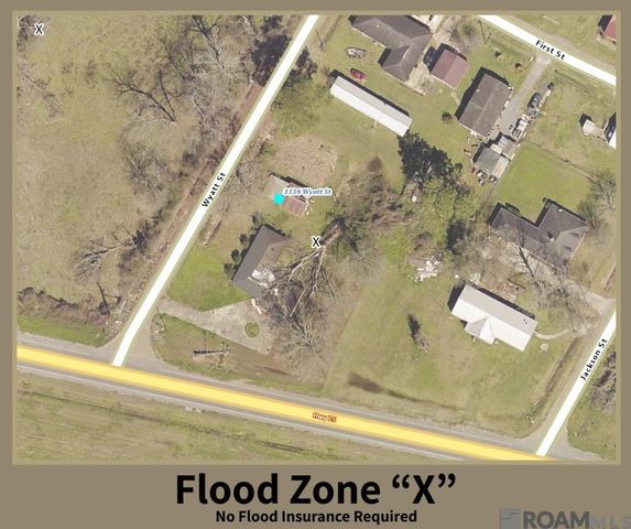 3336 Wyatt Dr, Darrow, LA 70725
