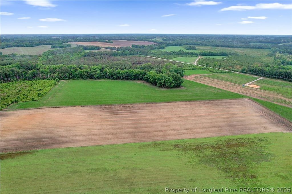 Lot 8 Buie Philadelphus Road, Red Springs, NC 28377 — photo 10
