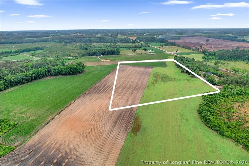 Lot 8 Buie Philadelphus Road, Red Springs, NC 28377 — photo 2