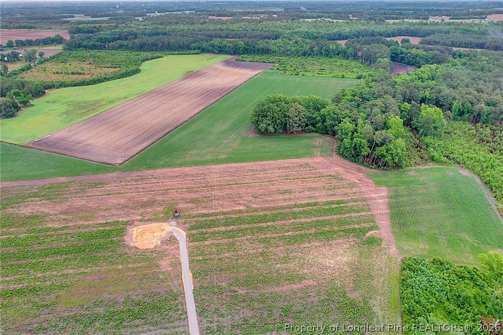 Lot 8 Buie Philadelphus Road, Red Springs, NC 28377 — photo 3