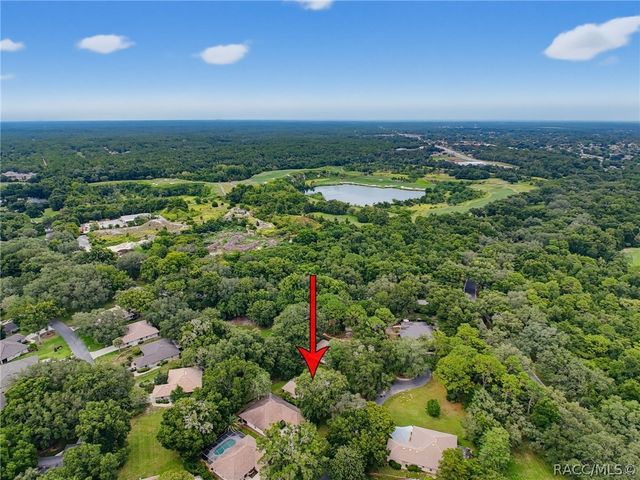 2961 W Plantation Pines Court, Lecanto, FL 34461
