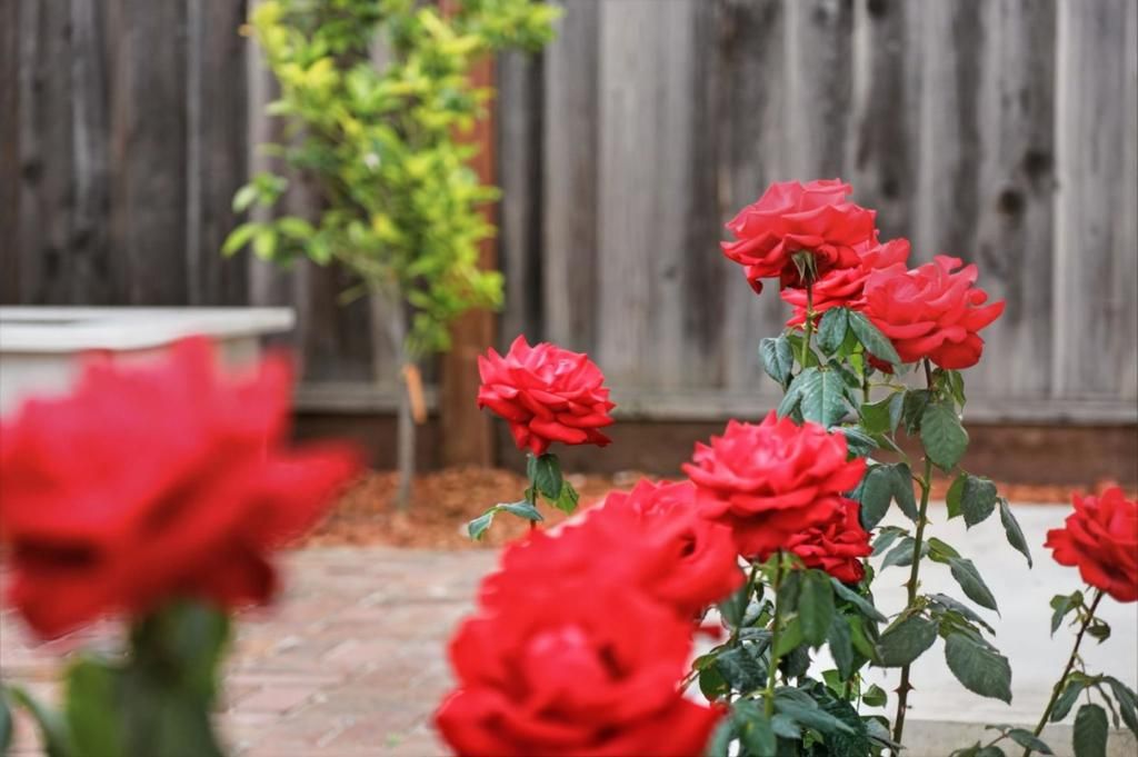 Image 51 of property listing at 4556 Harwood Road, San Jose, CA 95124