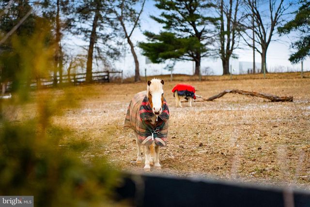 1202 W BRIDGE ST, Spring City, PA 19475