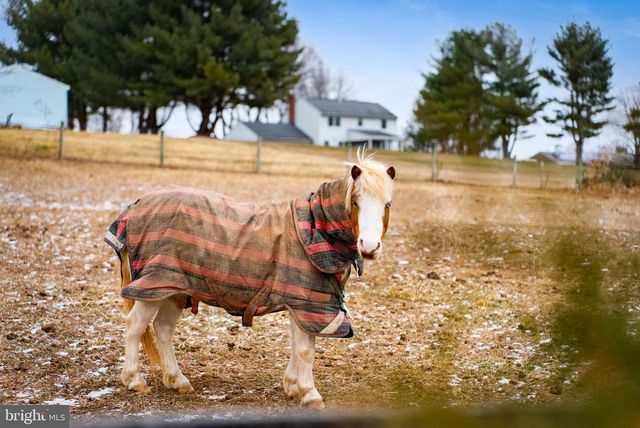 1202 W BRIDGE ST, Spring City, PA 19475