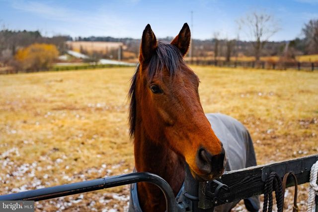 1202 W BRIDGE ST, Spring City, PA 19475