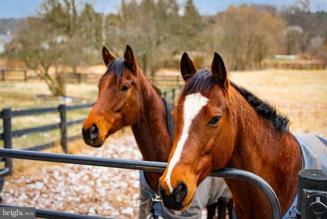 1202 W BRIDGE ST, Spring City, PA 19475