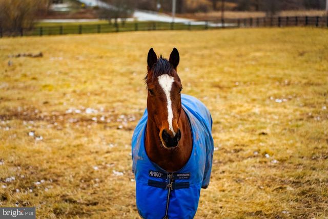 1202 W BRIDGE ST, Spring City, PA 19475