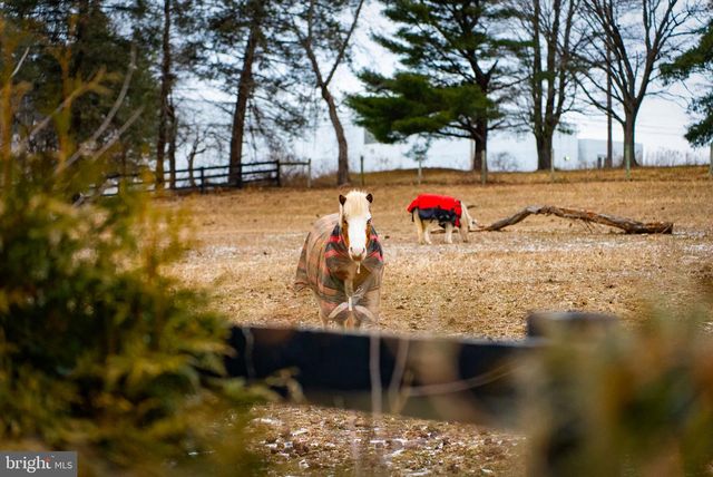 1202 W BRIDGE ST, Spring City, PA 19475