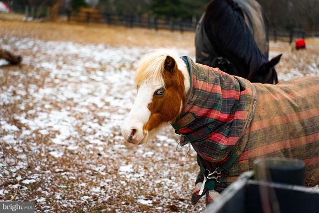 1202 W BRIDGE ST, Spring City, PA 19475