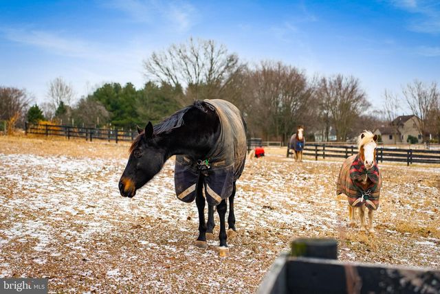 1202 W BRIDGE ST, Spring City, PA 19475