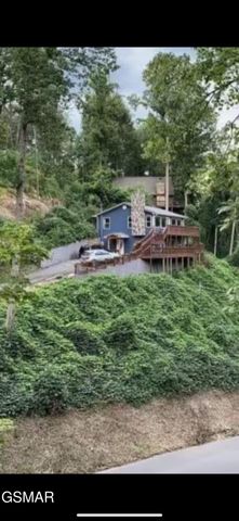 230 Silverbell Lane, Gatlinburg, TN 37738