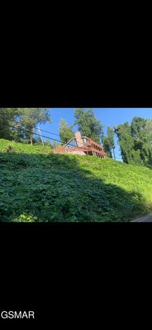 230 Silverbell Lane, Gatlinburg, TN 37738