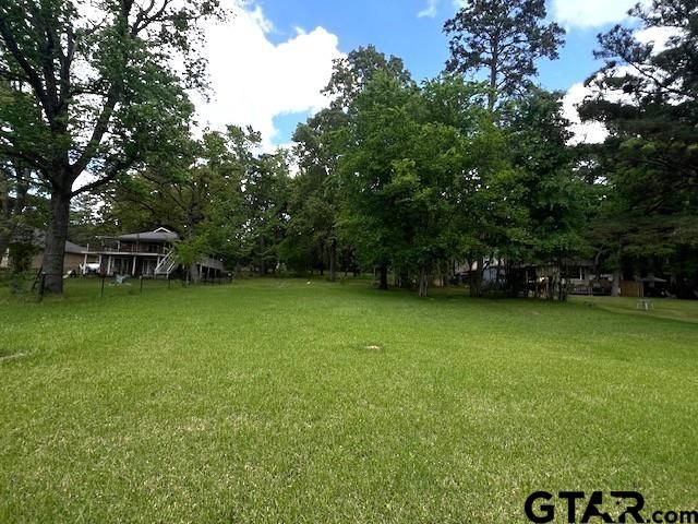17418 Lakeview Dr, Flint, TX 75762