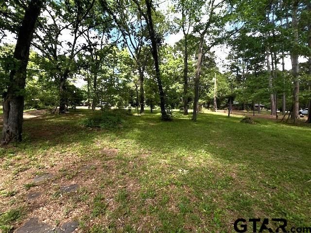 17418 Lakeview Dr, Flint, TX 75762