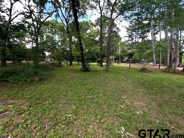 17418 Lakeview Dr, Flint, TX 75762