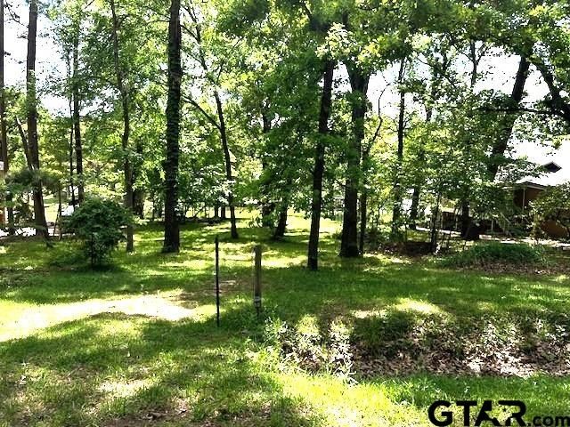 17418 Lakeview Dr, Flint, TX 75762