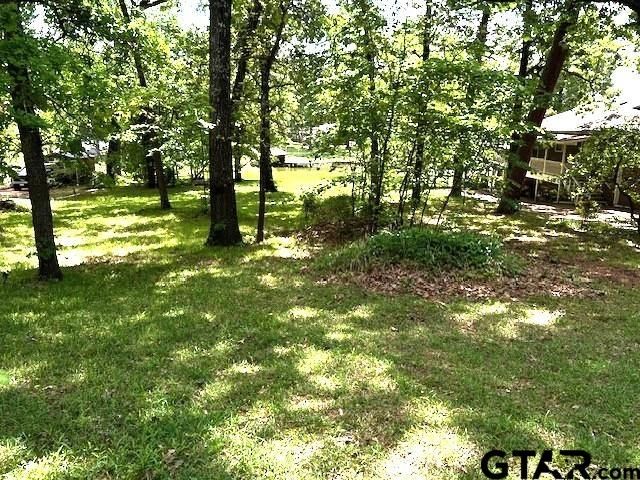 17418 Lakeview Dr, Flint, TX 75762