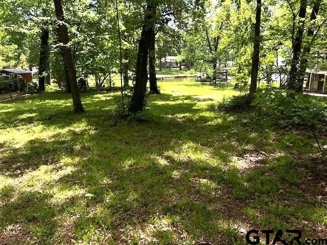 17418 Lakeview Dr, Flint, TX 75762