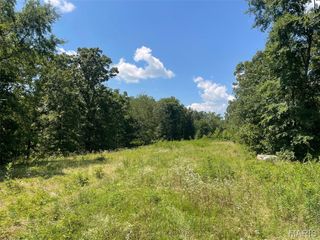 0 County Road 478, Poplar Bluff, MO 63901