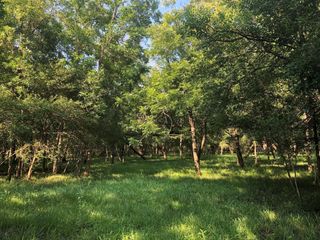 0 County Road 522, Guy, TX 77444