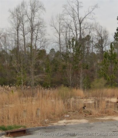 85 Pedley Place, Cameron, NC 28326