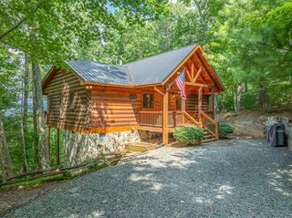 107 Little Bushy Head Road, Blue Ridge, GA 30513