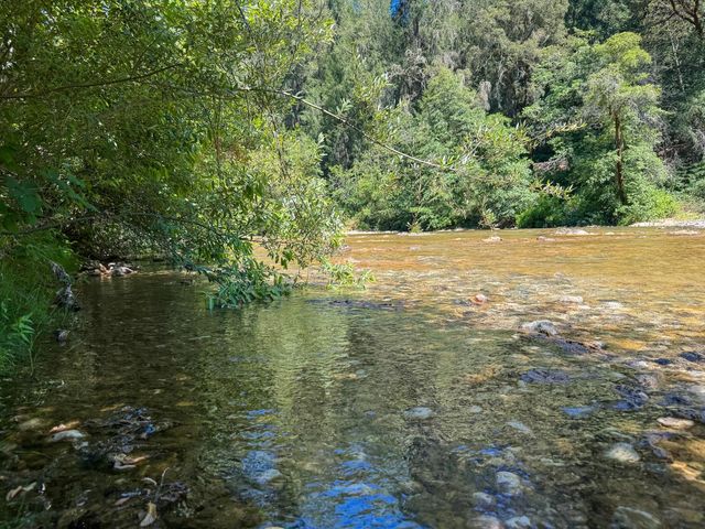 15046 Leiter Way, Grass Valley, CA 95949