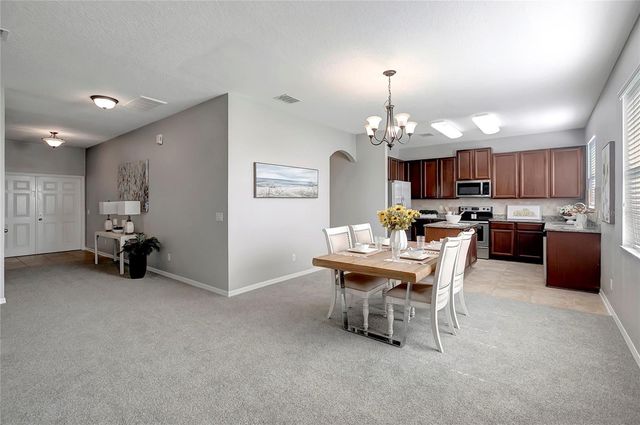 10653 PICTORIAL PARK DRIVE, Tampa, FL 33647