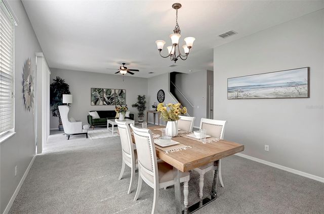 10653 PICTORIAL PARK DRIVE, Tampa, FL 33647