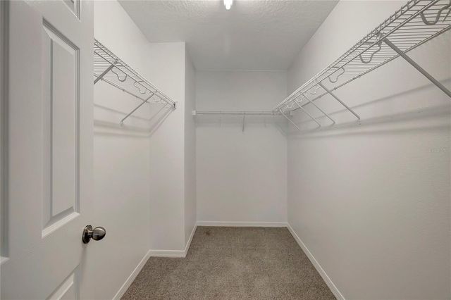 10653 PICTORIAL PARK DRIVE, Tampa, FL 33647