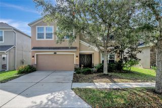 10653 PICTORIAL PARK DRIVE, Tampa, FL 33647
