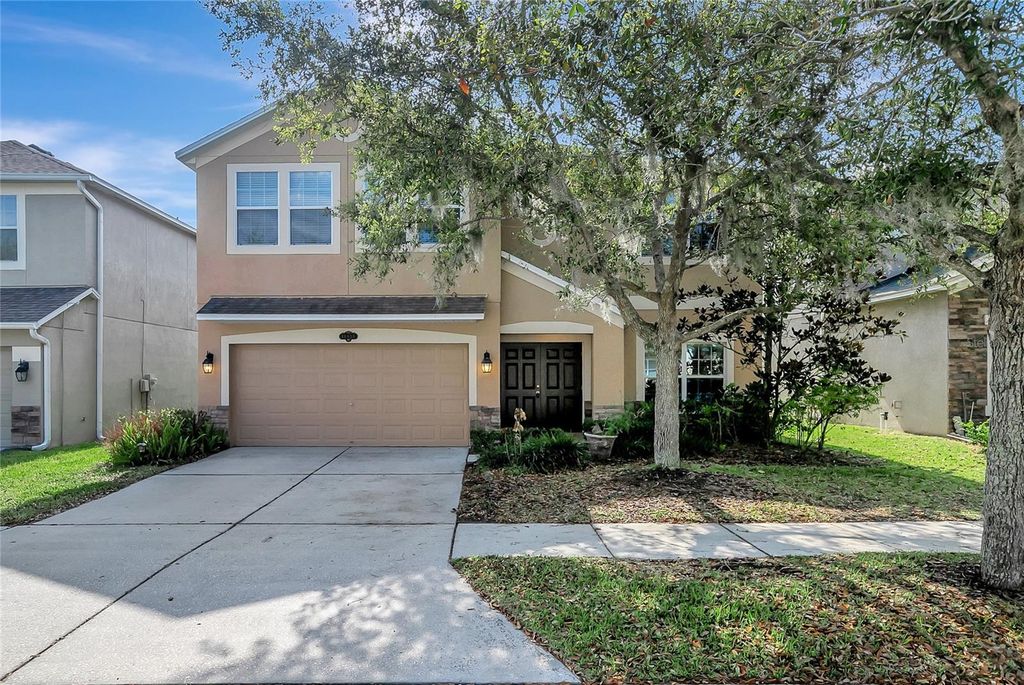 10653 PICTORIAL PARK DRIVE, Tampa, FL 33647