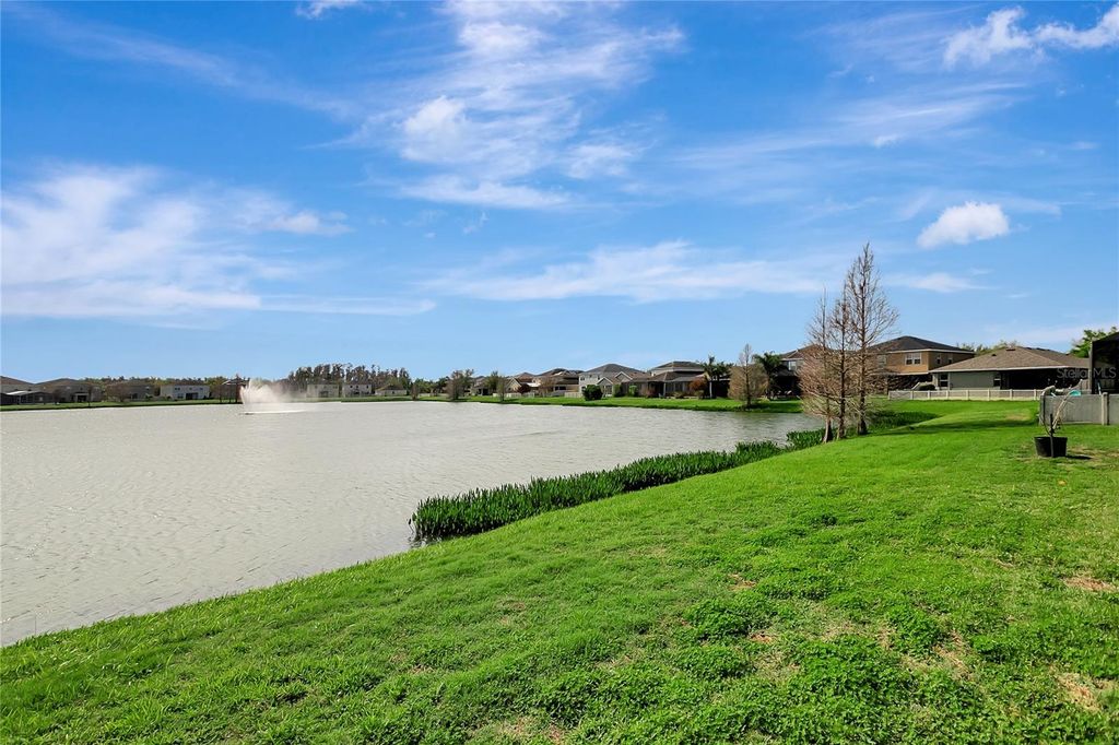 Image 48 of property listing at 10653 PICTORIAL PARK DRIVE, Tampa, FL 33647