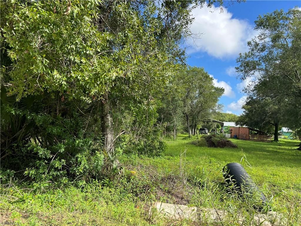 11851 Pine AVE, FORT MYERS, FL 33905 — photo 5