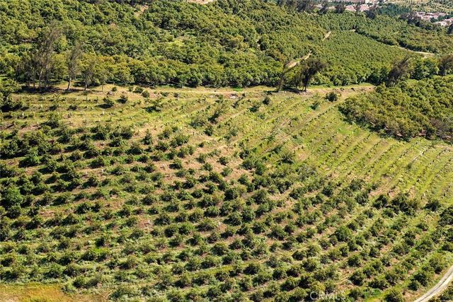 106 Coldwater, Irvine, CA 92602