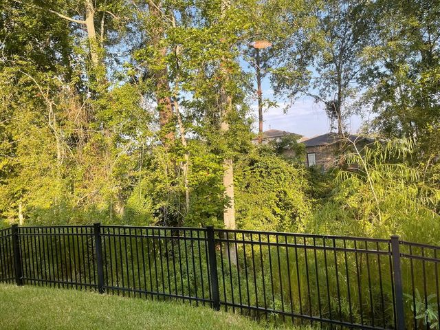 52 Valiant Ridge Trail, Magnolia, TX 77354