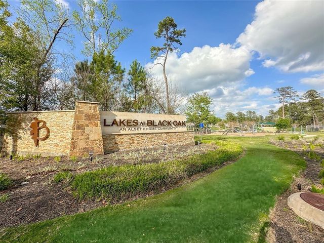 52 Valiant Ridge Trail, Magnolia, TX 77354