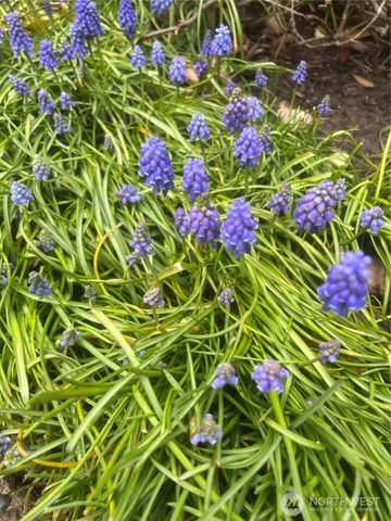 1625 Camas Avenue NE, Renton, WA 98056