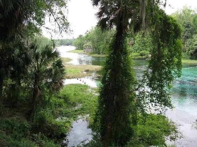 lot1 SW 158th court, Ocala, FL 34481