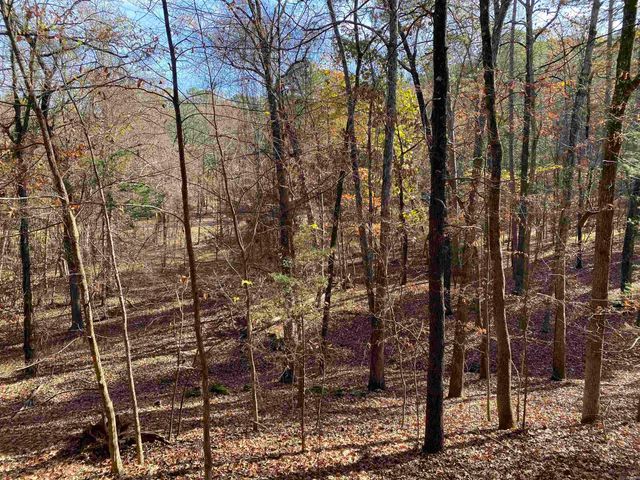 46B Peninsula Dr Unit 14-B, Mount Ida, AR 71957