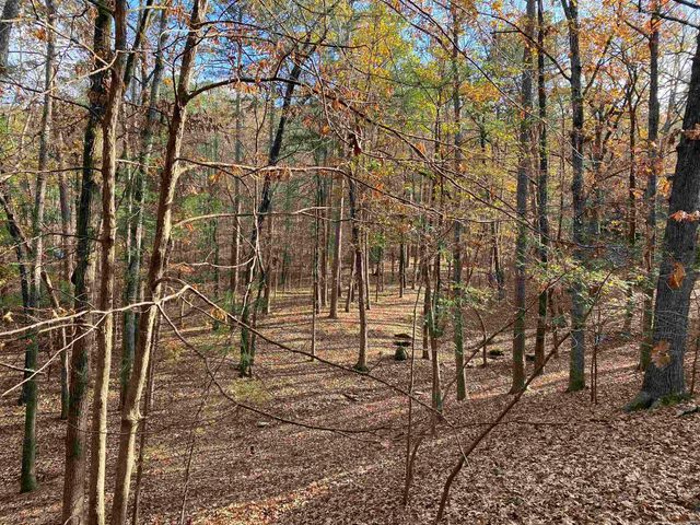 46B Peninsula Dr Unit 14-B, Mount Ida, AR 71957